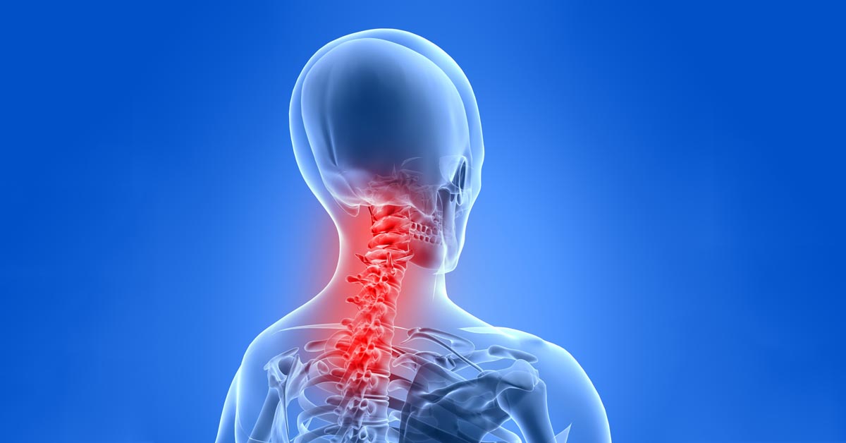 Chiropractic Olympia, 